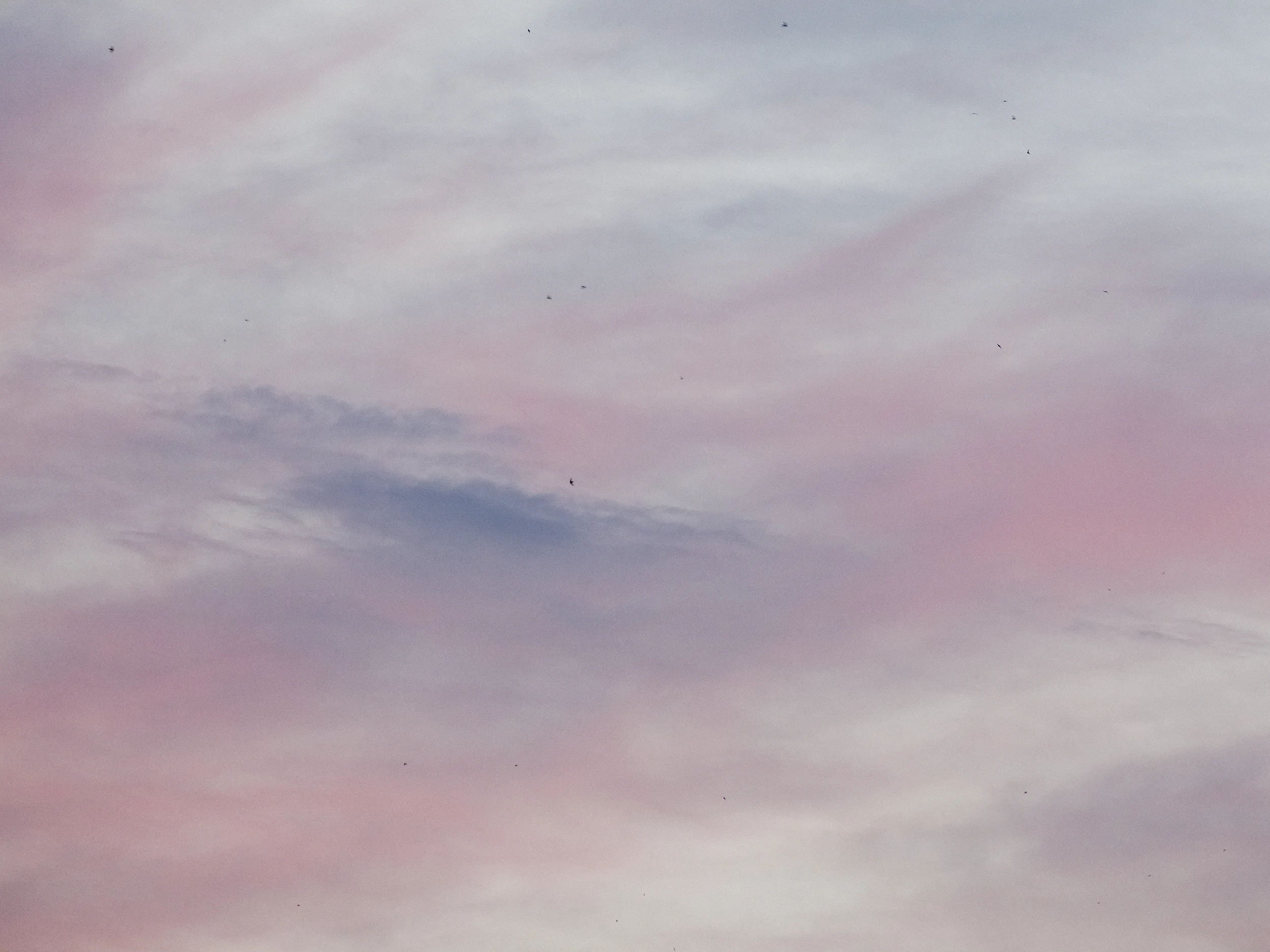 Cloud Painting with Birds, Bains de Paquis, Geneva, 2015 Martin Schgaguler – Photographs and Thoughts