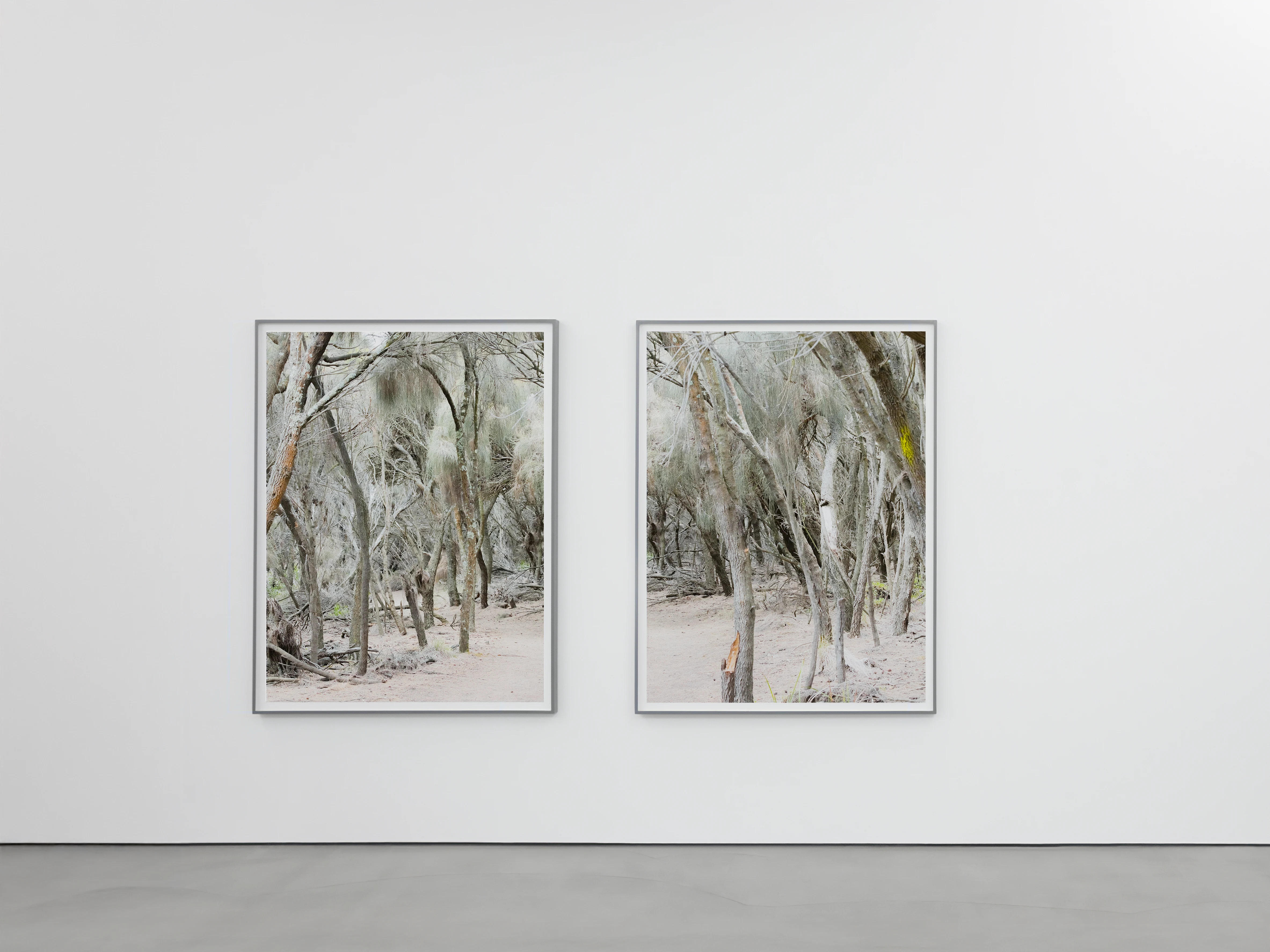 Martin Schgaguler – Photographs and Thoughts