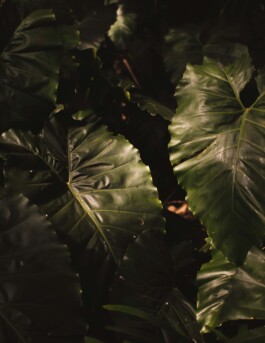 Martin Schgaguler – Photographs and Thoughts