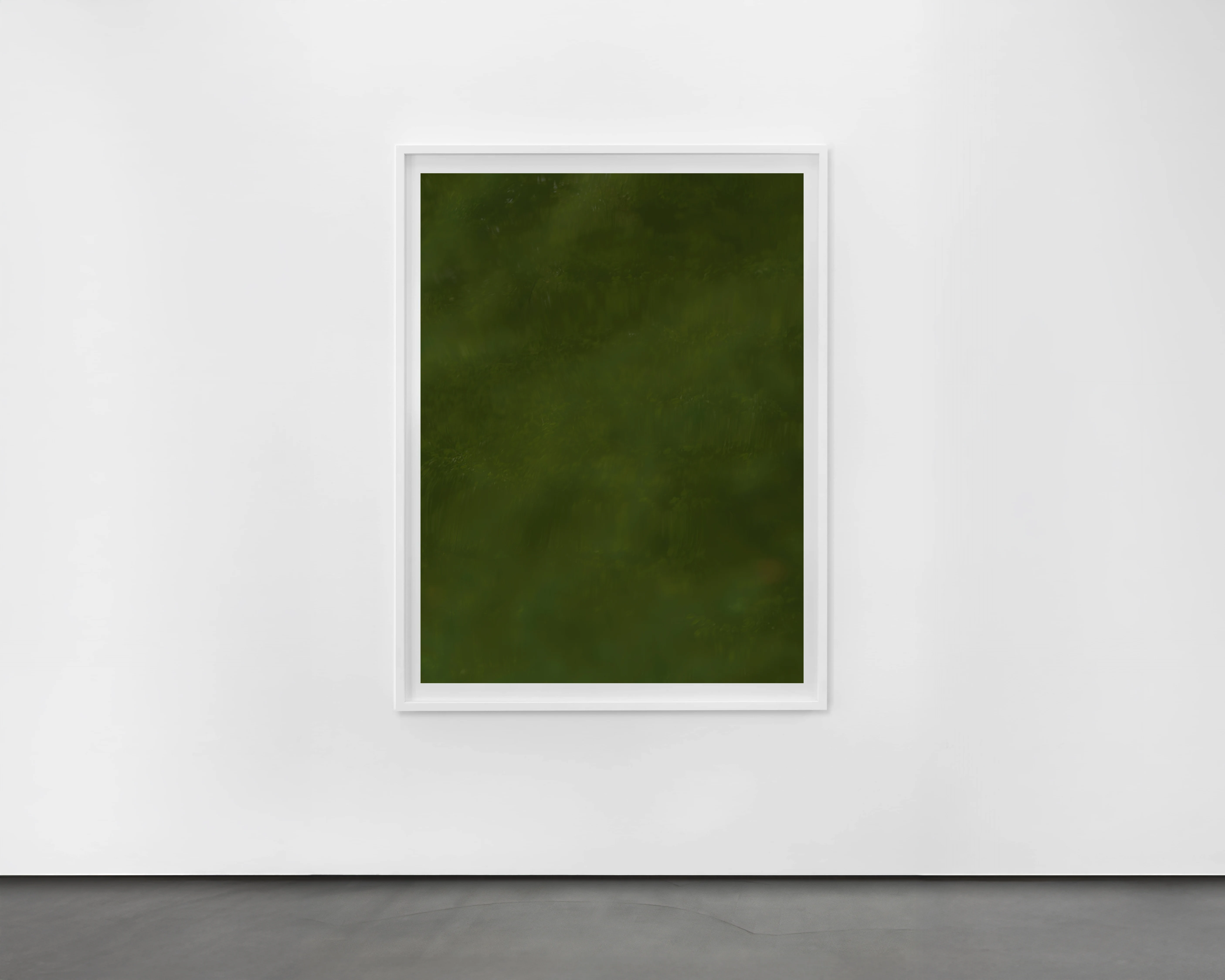 May Foliage, 2024 - Framed Martin Schgaguler – Photographs and Thoughts