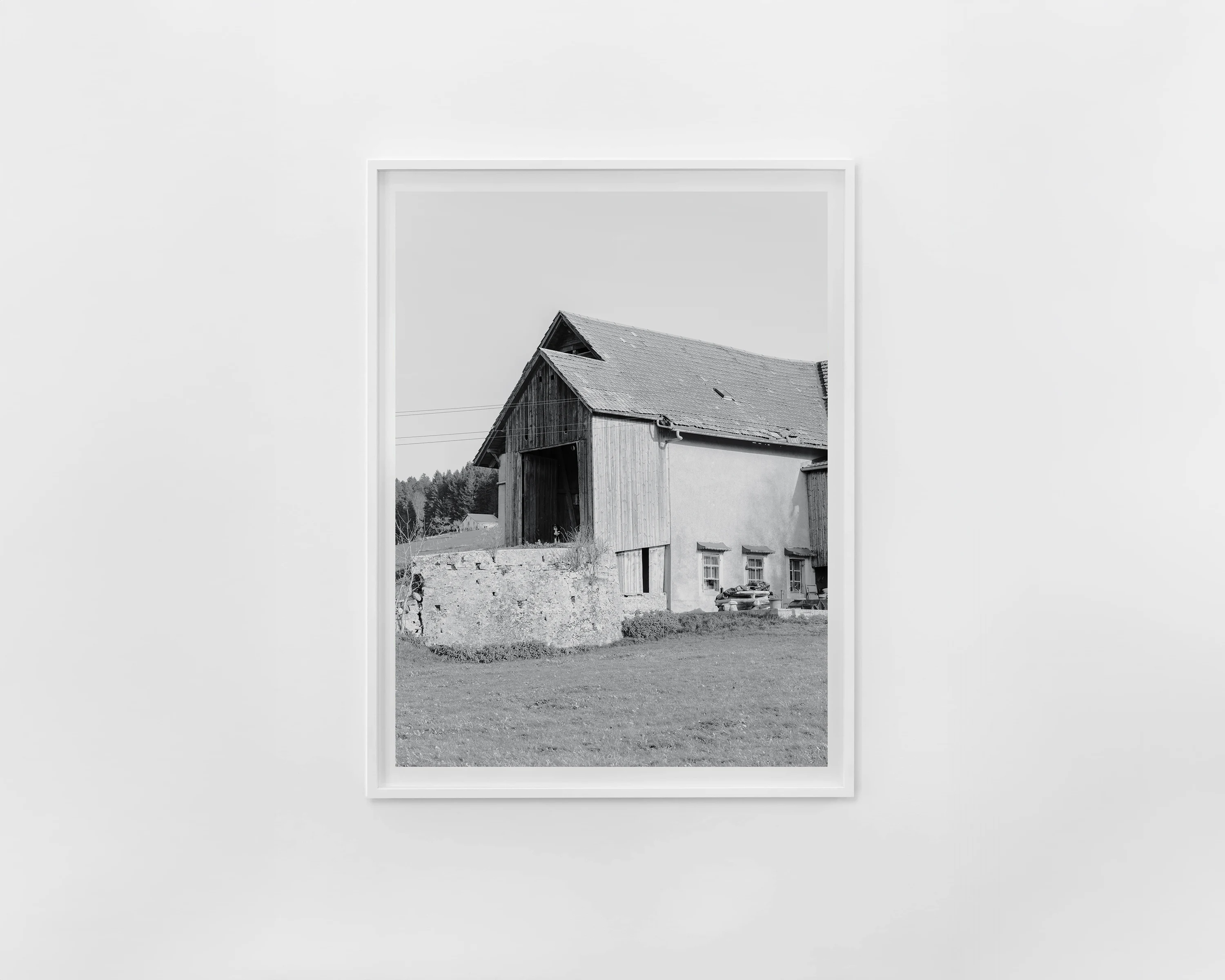 Silent Bark - 2022- Framed, Martin Schgaguler Martin Schgaguler – Photographs and Thoughts