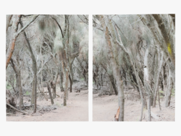 Bracelet Honey Myrtle Forest Martin Schgaguler – Photographs and Thoughts