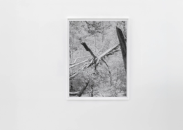  Martin Schgaguler – Photographs and Thoughts
