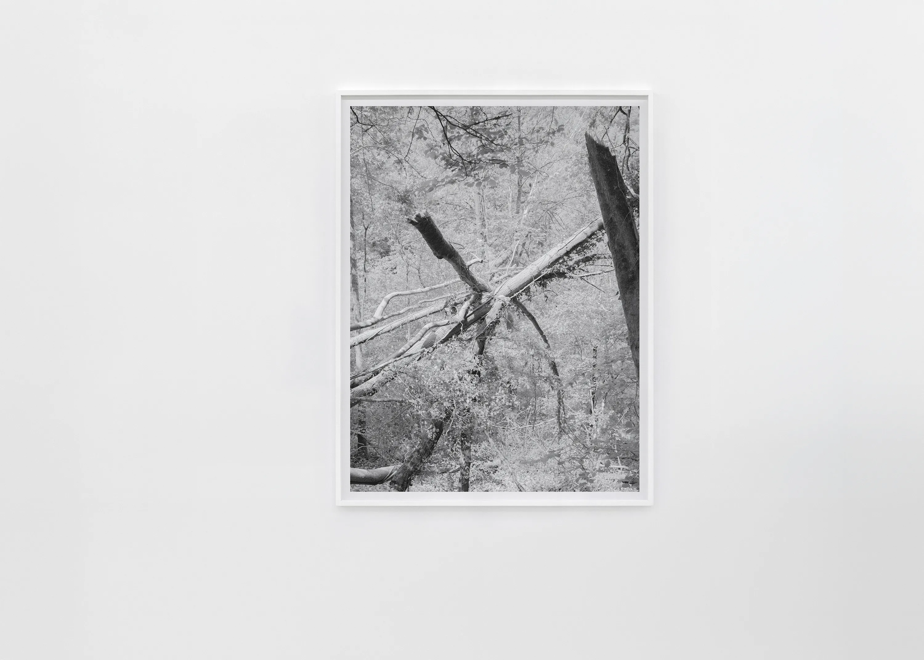  Martin Schgaguler – Photographs and Thoughts