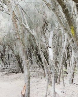 Martin Schgaguler – Photographs and Thoughts