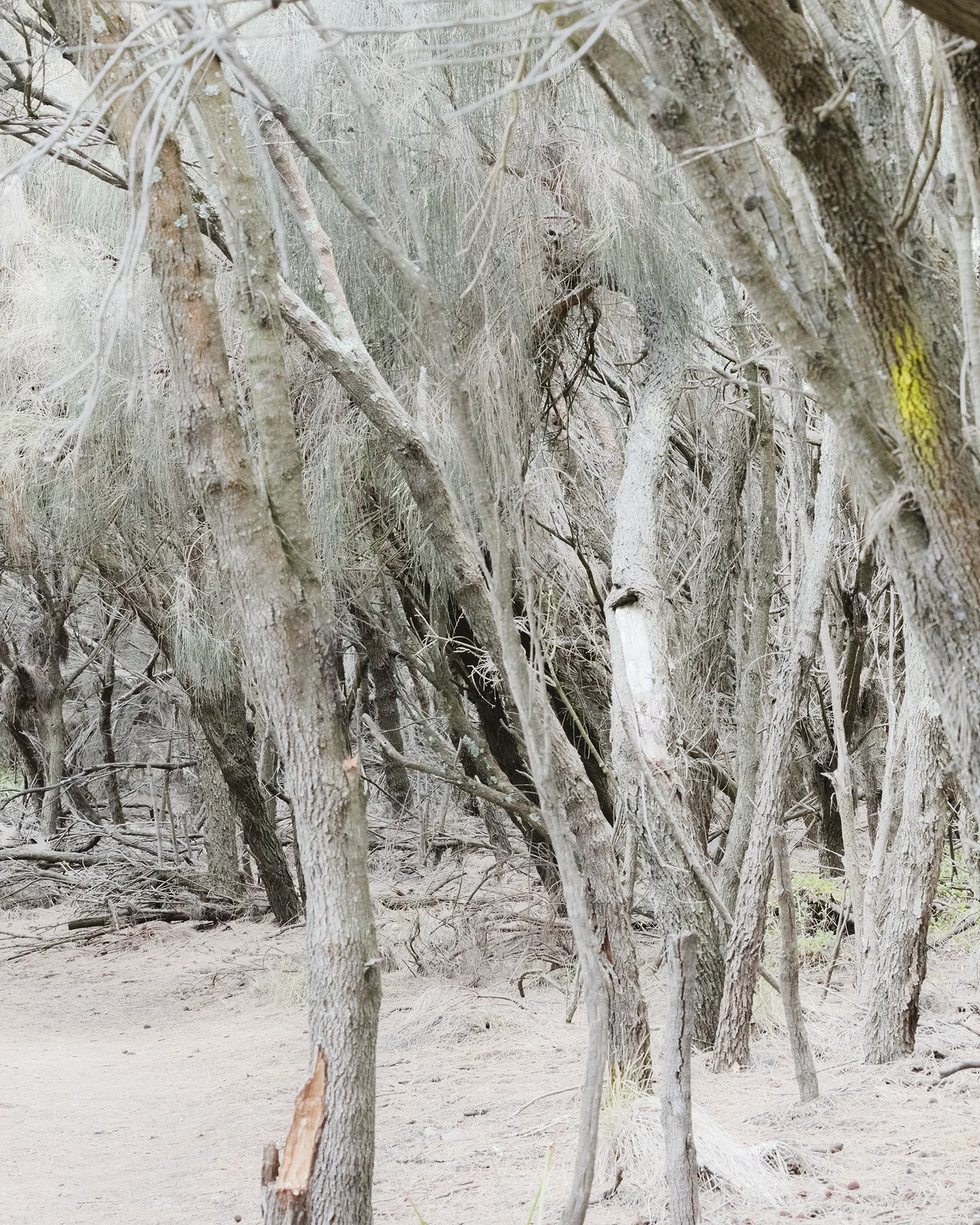 Martin Schgaguler – Photographs and Thoughts