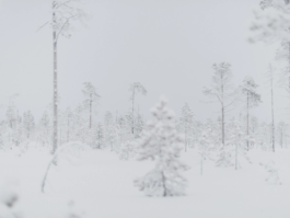  Martin Schgaguler – Photographs and Thoughts