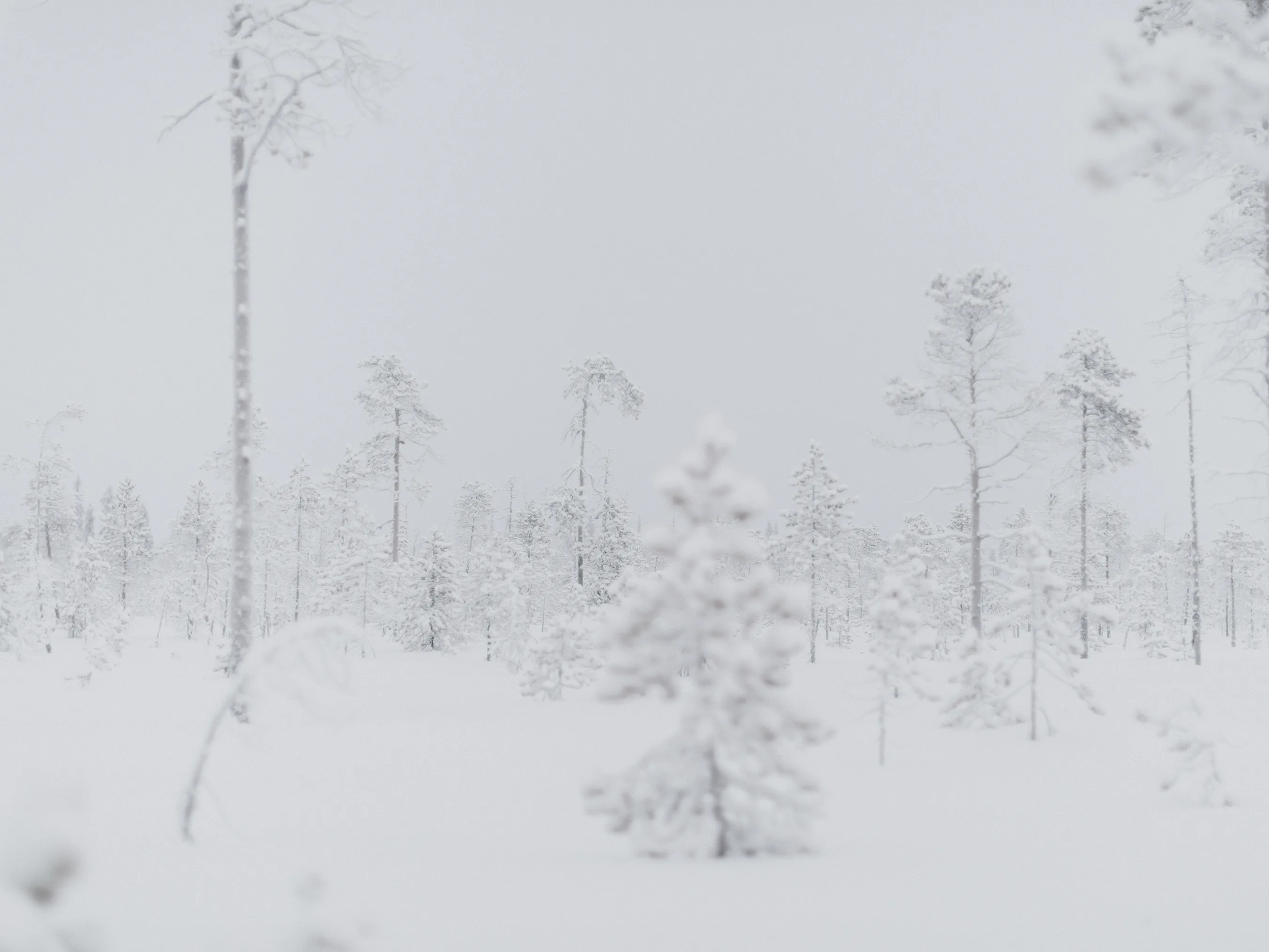  Martin Schgaguler – Photographs and Thoughts
