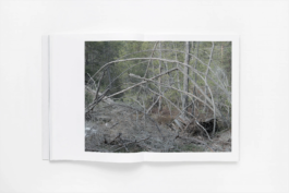 Martin Schgaguler – Photographs and Thoughts
