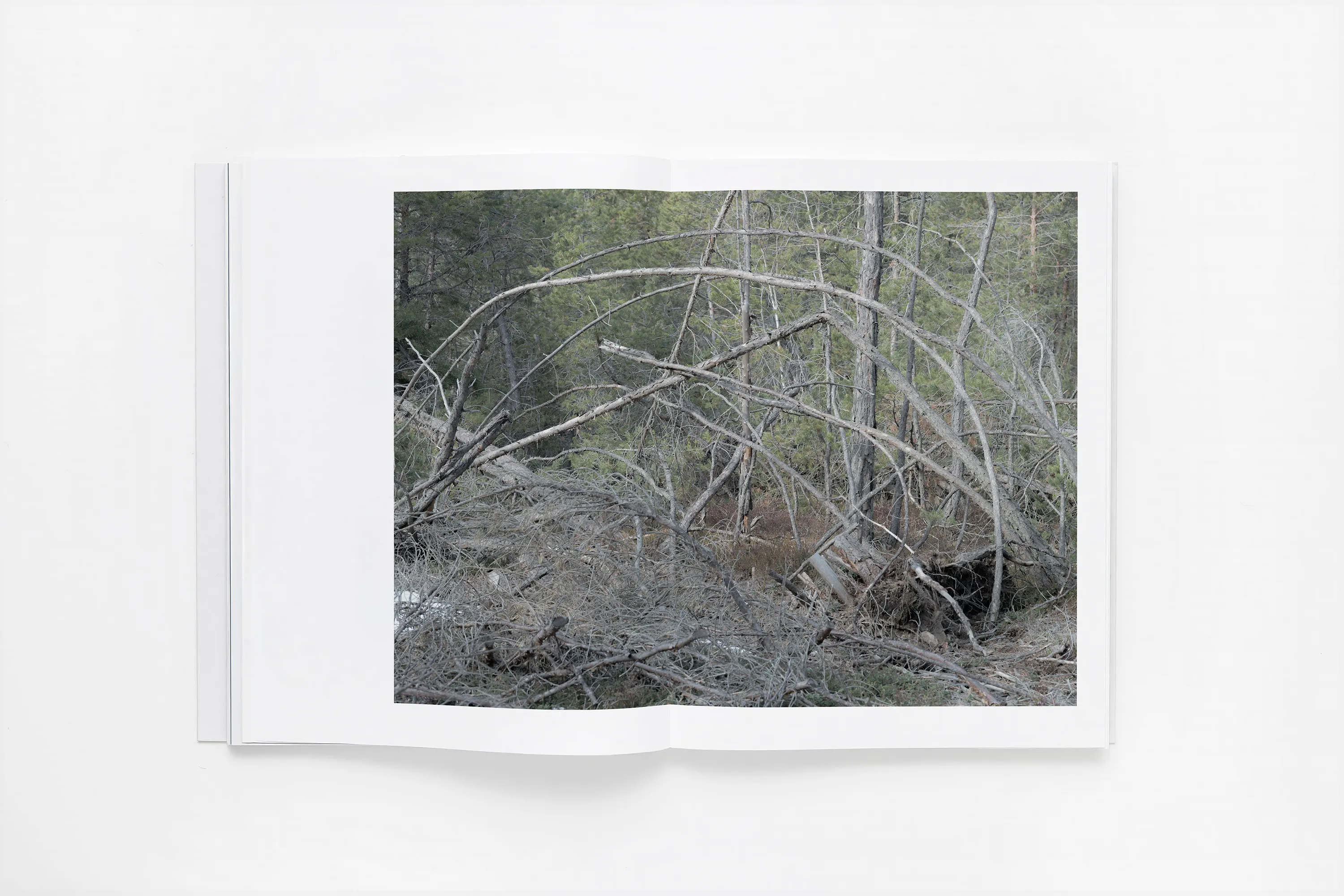  Martin Schgaguler – Photographs and Thoughts